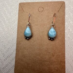 Elegant Blue Teardrop Earrings